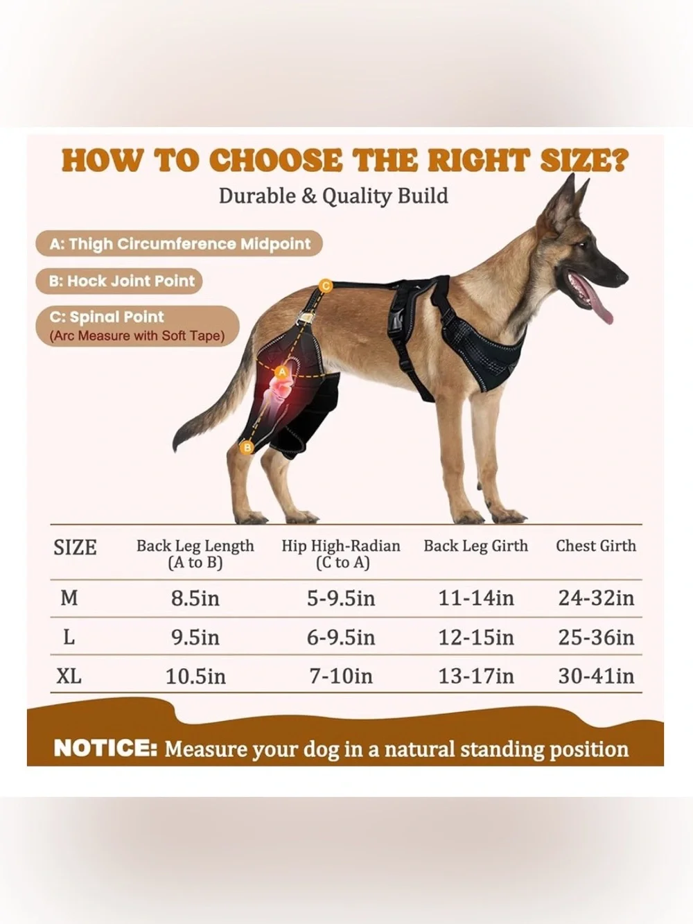 Arvion Dog Knee Braces for Back Legs - Black Hip & Joint Compression Wrap